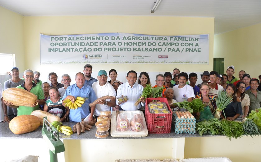 Prefeitura recebe produtos do PAA que serão distribuídos a 12 instituições de Palmeira dos Índios