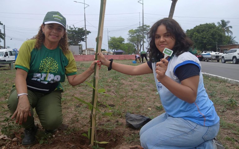 Canteiro do Dique Estrada recebe plantio de árvores de grande porte