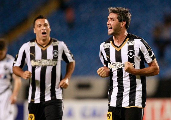 Botafogo supera &#8216;gramado careca&#8217;, ABC e se sagra campeão da Série B