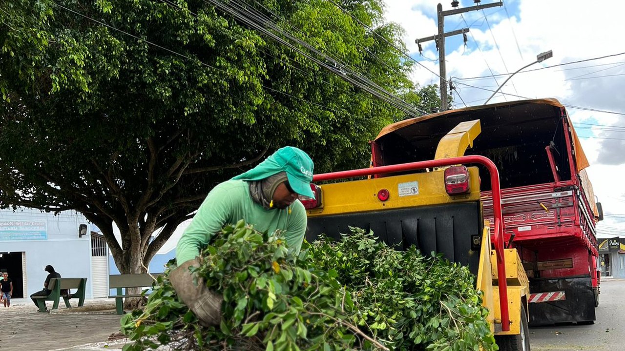 Arapiraca sustentável: projeto inovador transforma restos de poda em adubo para agricultores familiares