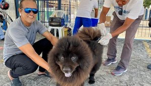 vacina animais / Foto: Foto: Ascom/SMS