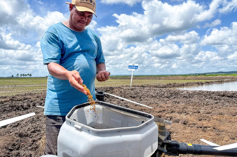 Programa Alagoas Mais Arroz leva inovação e tecnologia para melhorar produtividade do Baixo São Francisco