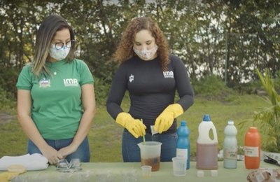 Mês do Meio Ambiente: oficinas virtuais incentivam educação ambiental em casa 