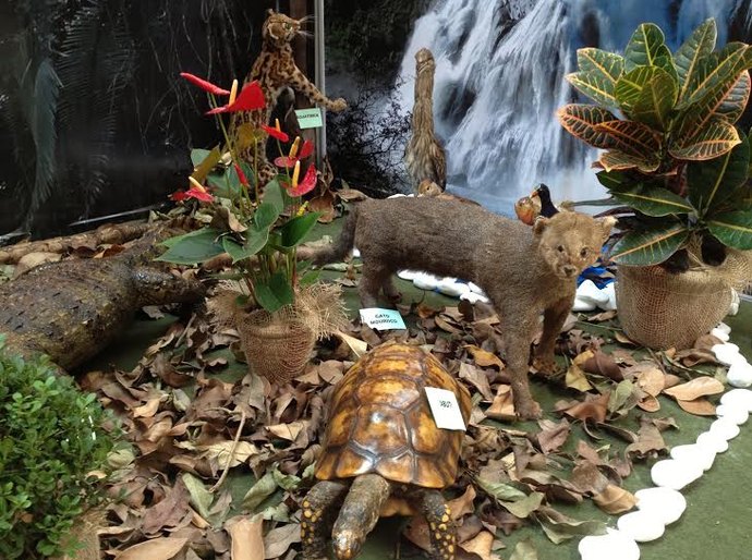 Pátio Maceió celebra Mês Mundial do Meio Ambiente