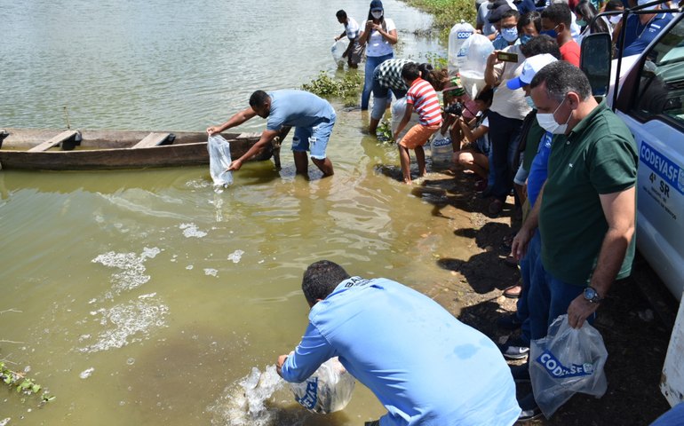 Codevasf e Ufal firmam protocolo de intenções para desenvolvimento regional em Alagoas