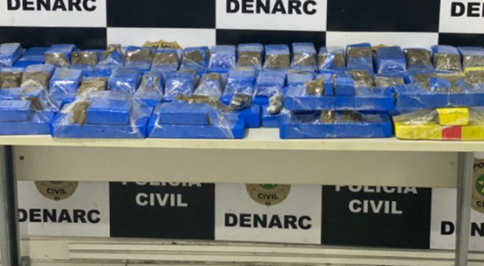 Cerca de 50 quilos de maconha são apreendidos durante operação policial em Itabaiana e Aracaju / Foto: Foto: Polícia Civil/SE