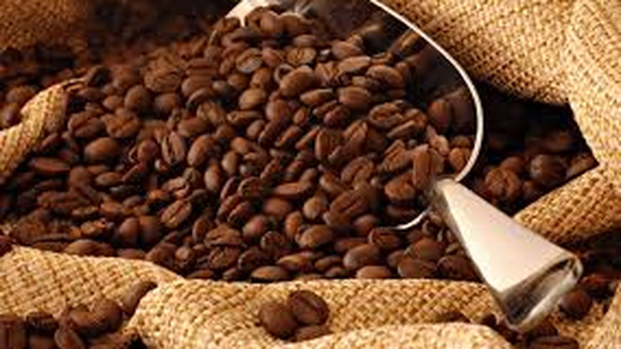 Minas Gerais promove maior evento de cafeicultura irrigada do País