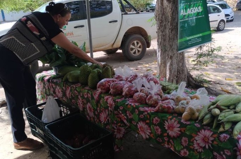 Feira Orgânica da Semarh incentiva o consumo de alimentos saudáveis