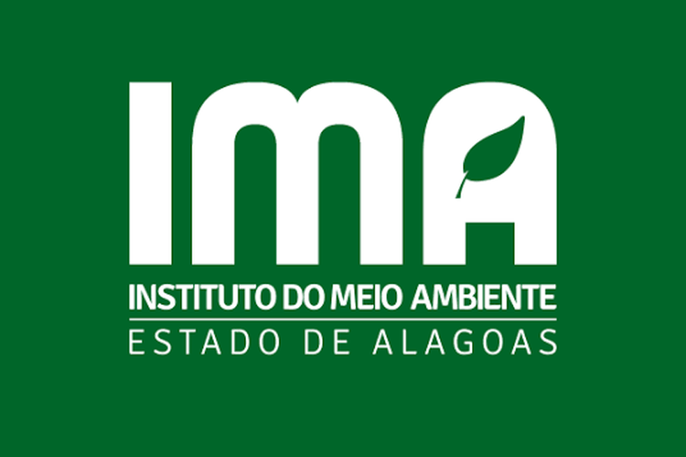 Jornalismo