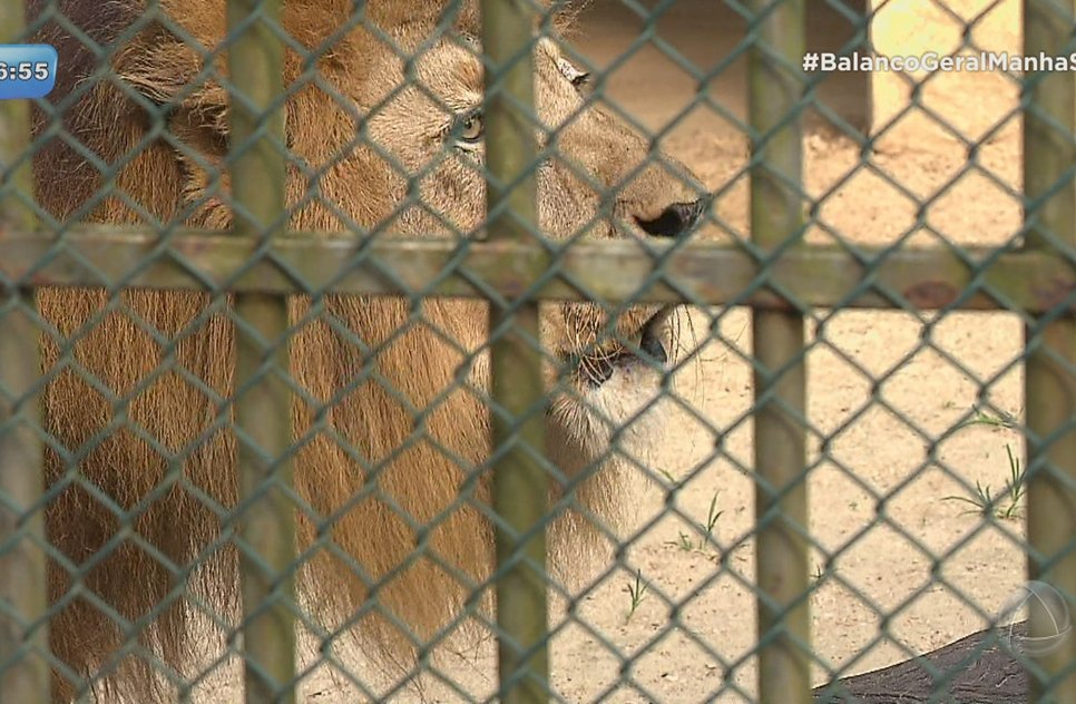 zoologico