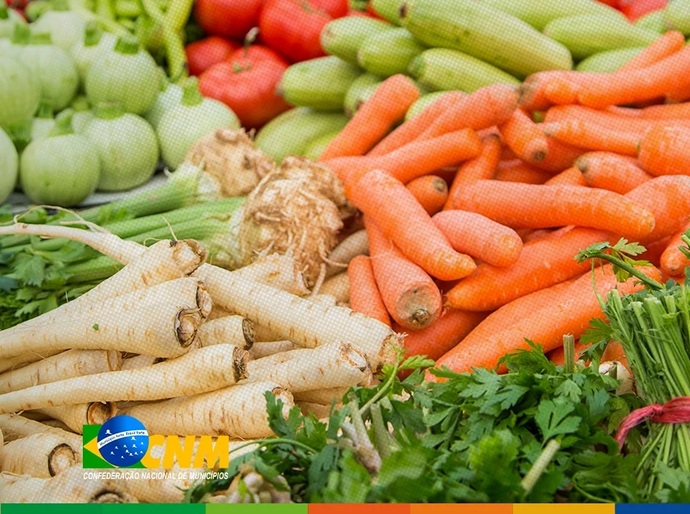 Segurança alimentar e nutricional: alteração na lei garante prioridade à mulheres vítimas de violência