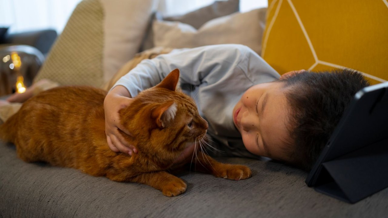 Animais de estimação em apartamentos exigem cuidados especiais