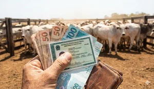 "Golpe do Gado": falso representante do Governo Federal é preso em Girau após causar prejuízo de R$ 2 milhões