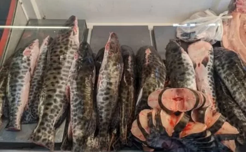 Estudo indica contaminação por mercúrio em seis estados da Amazônia