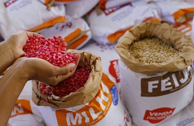 Planta Alagoas entrega sementes para agricultores de Penedo na Semada