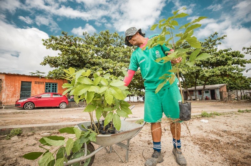 Segurança Cidadã alerta para furtos de plantas em espaços públicos