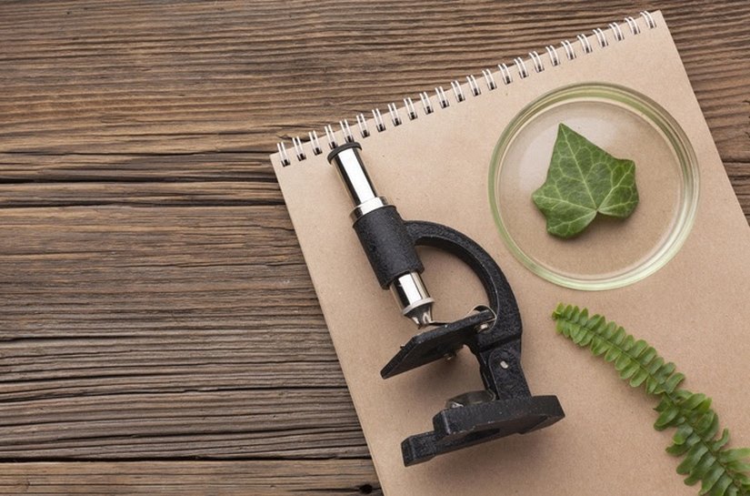 Biologia no Enem: veja como a disciplina é cobrada e dicas de estudos