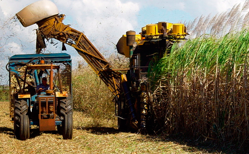 Alagoas registra 3,4 mil acidentes de trabalho em 2022