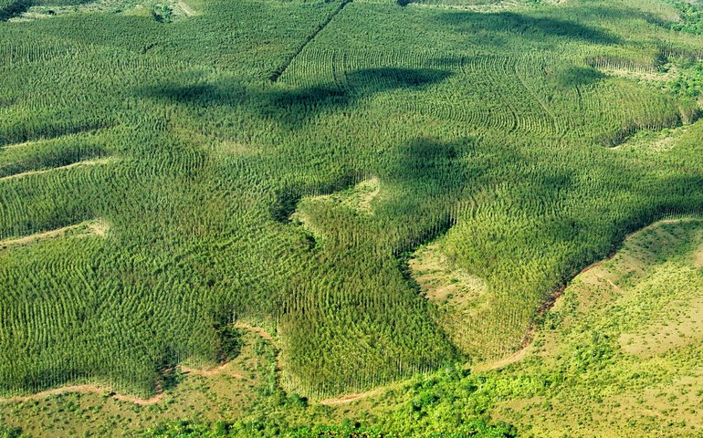 Regulamentação de bioinsumos é aprovada no Congresso e vai à sanção presidencial
