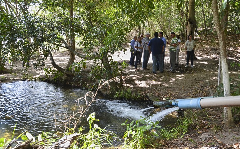 Prefeitura de Limoeiro promove reflorestamento  de áreas de Mata Atlântica e matas ciliares