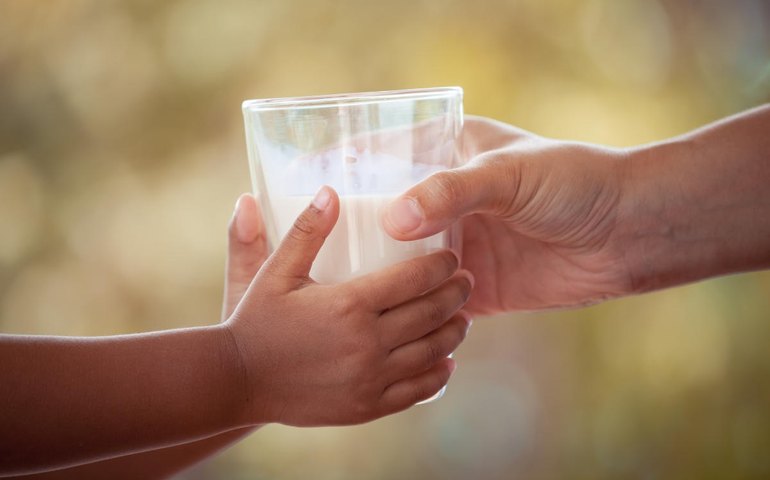 10 mil kits de leite já foram distribuídos pelo programa Leite é Massa