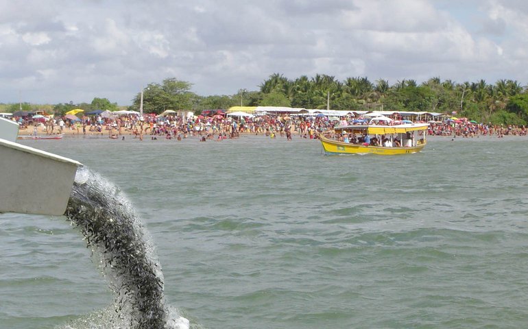 Codevasf repovoa São Francisco com espécies nativas