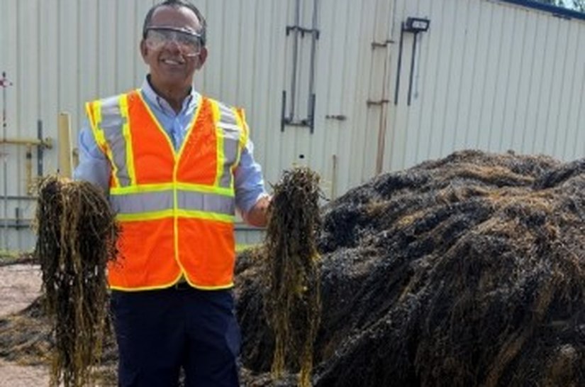 “Biologia a serviço da produtividade”, afirma Sérgio Abud sobre uso de extrato de algas na agricultura