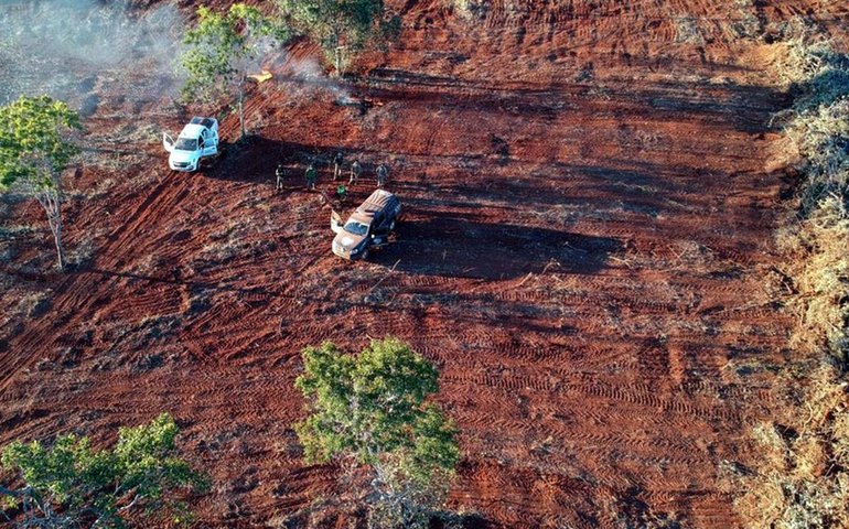 Desmate no Cerrado cresce 25,3% em 2022 e atinge maior patamar em sete anos