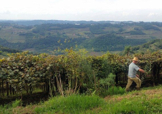 Entrega da declaração do ITR 2025 começa nesta segunda-feira