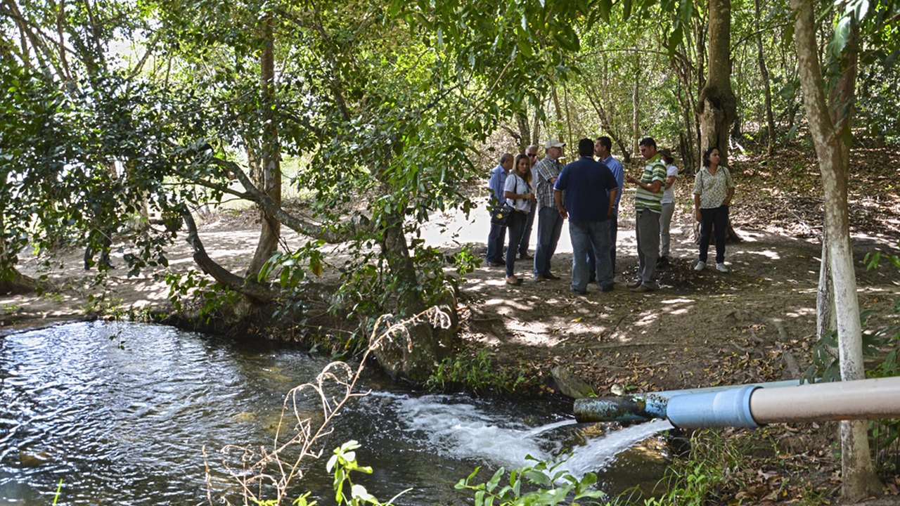 Prefeitura de Limoeiro promove reflorestamento  de áreas de Mata Atlântica e matas ciliares