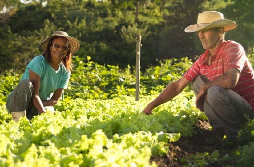 Desenvolve deve alcançar R$ 16 milhões em liberações em 2016