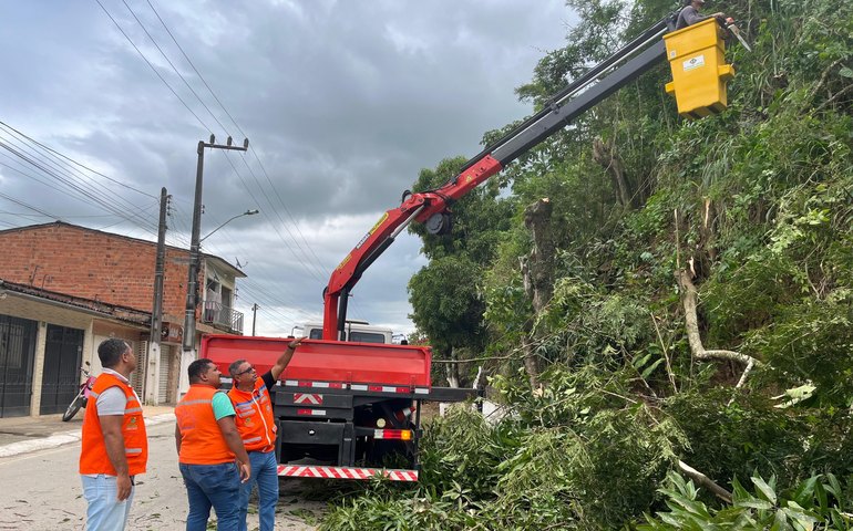 Defesa Civil de Branquinha realiza operação de podas de árvores