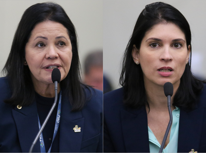 Deputadas destacam realização da 1ª Reunião de Mulheres Parlamentares do P20