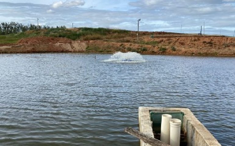 Referência na criação de camarões em Alagoas, Arapiraca realiza 2° Seminário de Carcinicultura em Março