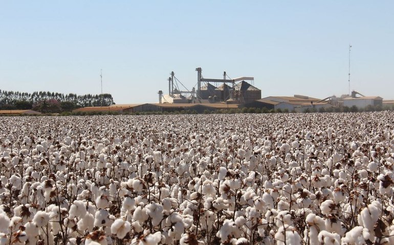 Atividade econômica deve perder força até dezembro, apesar de desempenho positivo no início do segundo semestre 