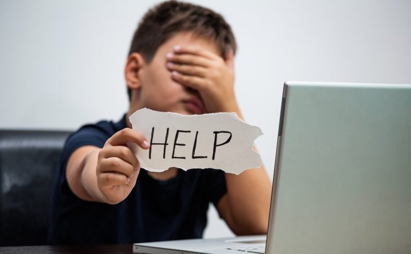 Comissão de Segurança Pública debate combate a crimes cibernéticos contra crianças e adolescentes