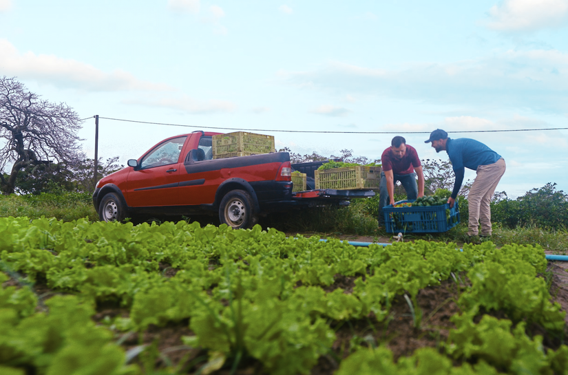 Alagoas sedia reunião da Câmara Temática da Agricultura Familiar do Consórcio Nordeste