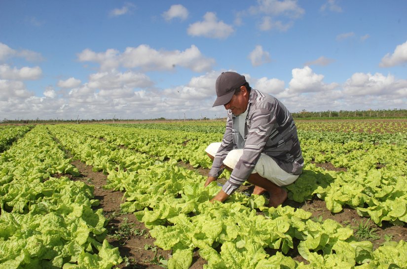 Volume de chuvas em 2018 supera média histórica e beneficia agricultura arapiraquense