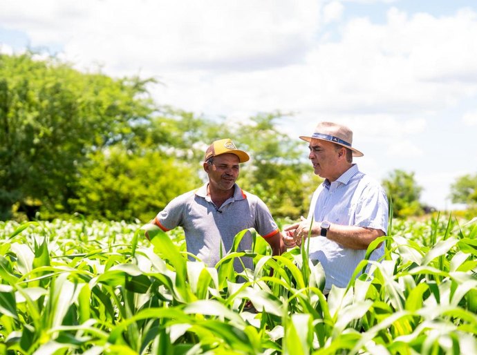 Garantia Safra beneficiará 587 agricultores de Palmeira com mais de R$ 700 mil na economia local