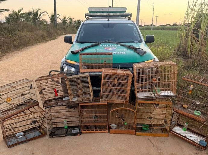 PM-AL apreende duas armas de fogo e resgata 59 animais silvestres em ações de fiscalização