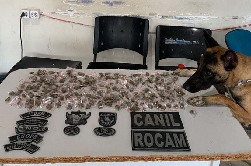 Polícia Militar apreende drogas e armas durante abordagens em Arapiraca