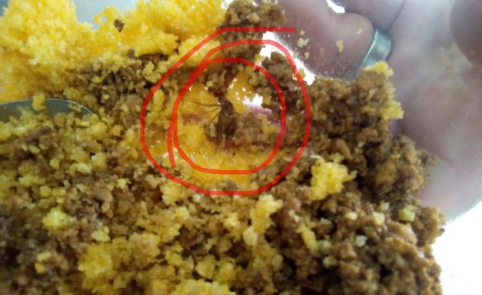 Inseto foi encontrado na alimentação dos policiais penais Inseto foi encontrado na alimentação dos policiais penais