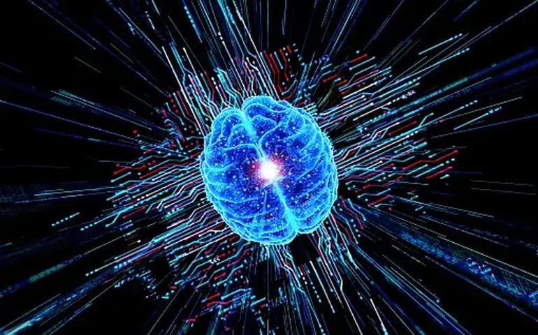 Estudo revela como os diferentes tipos de amor ativam o cérebro