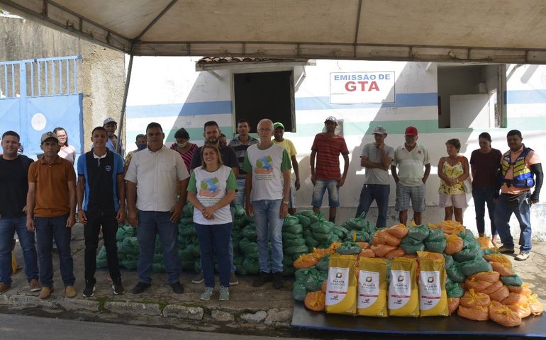 Prefeitura de Anadia distribui sementes para cerca de 200 agricultores