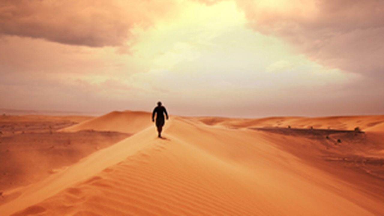 Voz no deserto