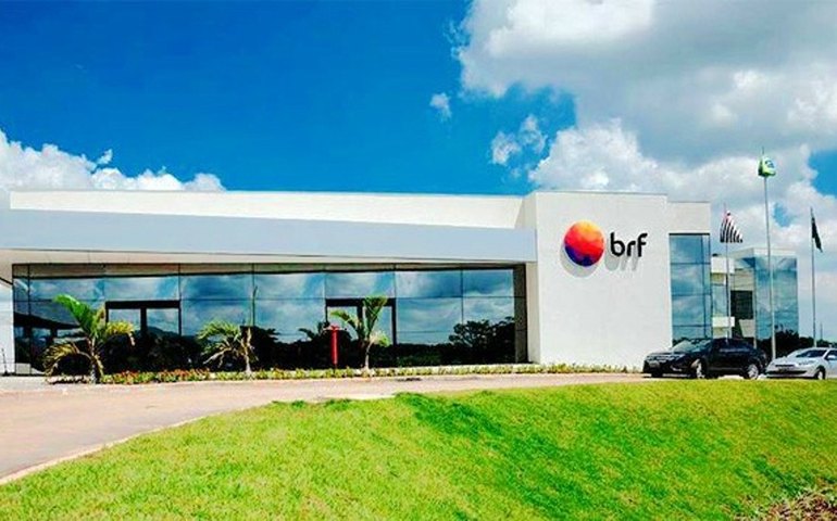 Hambúrguer 'premium' da Marfrig ganha selo Sadia, e o da Perdigão vira Perdigão Montana