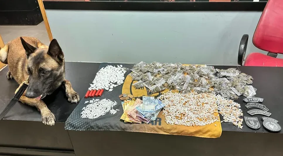 PM apreende cerca de duas mil pedras de Crack. Fonte: Internet