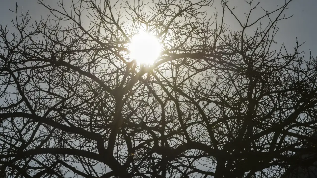 SP tem alerta para onda de calor, com previsão de até 40°C e risco de incêndios