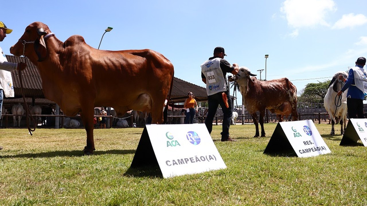 Expoagro Alagoas fatura R$15 milhões e quebra recorde