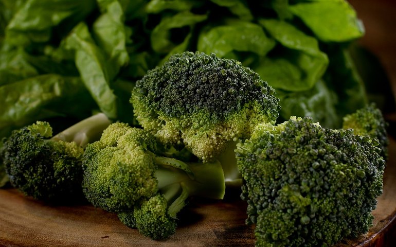Brócolis e couve devem estar na lista de compras de quem tem pressão alta, mostra novo estudo; entenda